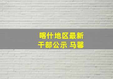 喀什地区最新干部公示 马馨